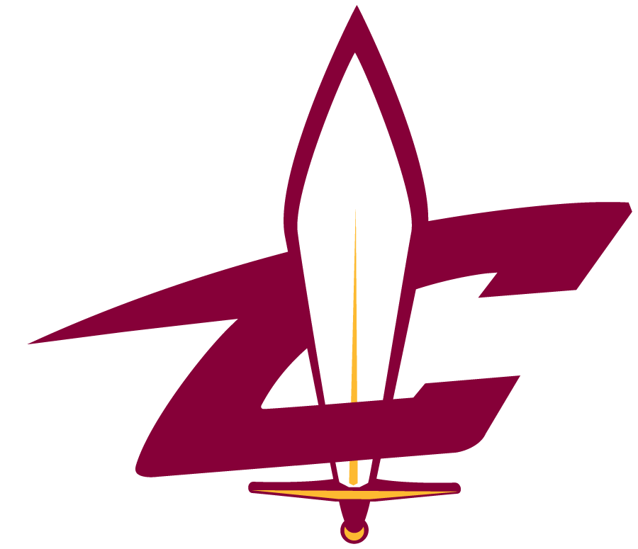 Canton Charge 2010-Pres Alternate Logo iron on heat transfer